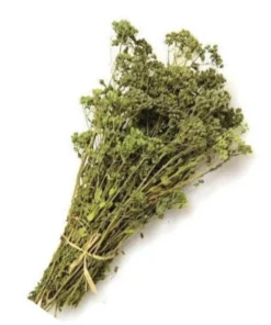 Origano a Mazzetto Calabrese